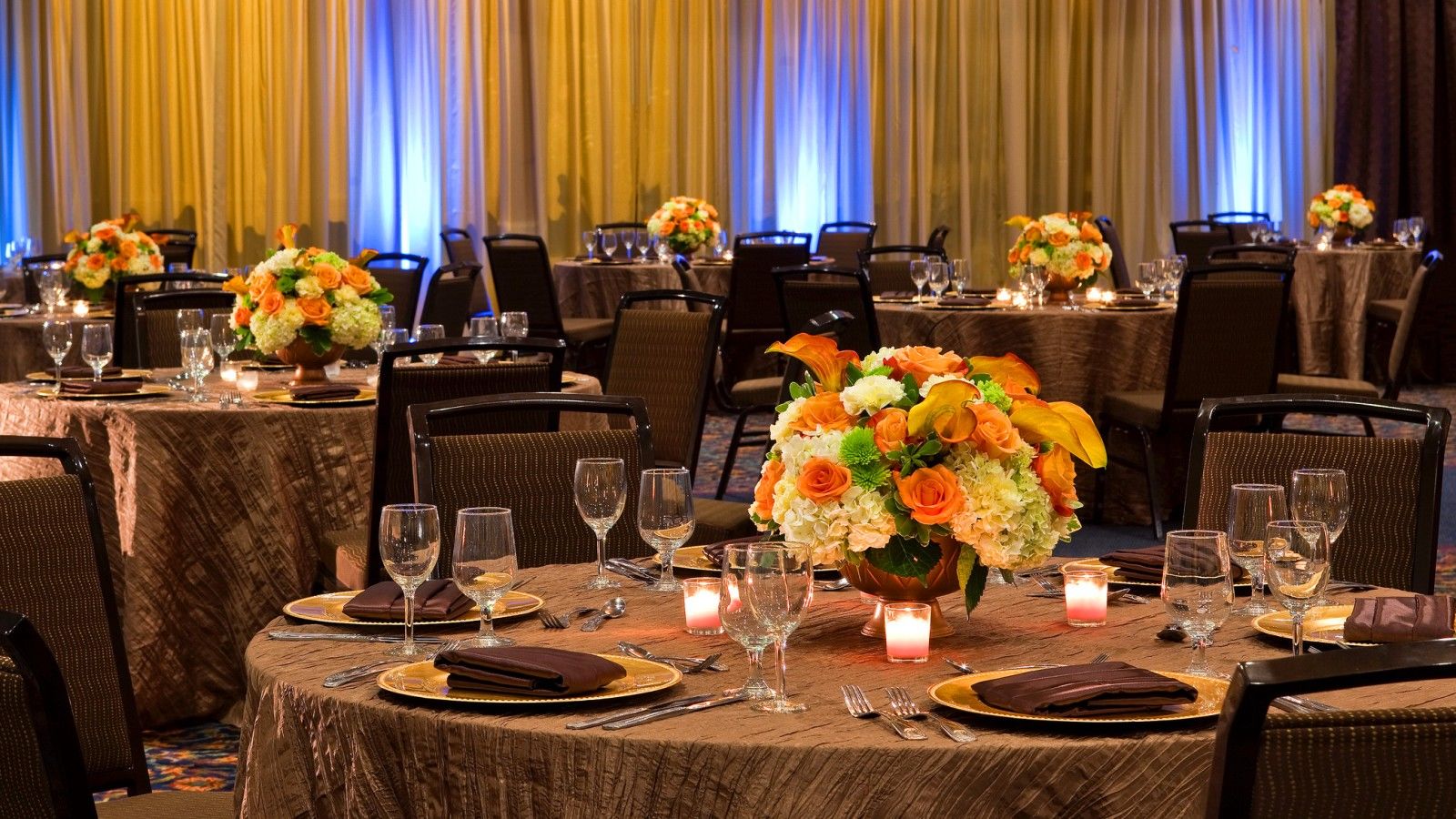 Sheraton Tampa Brandon Hotel Mango Business bild